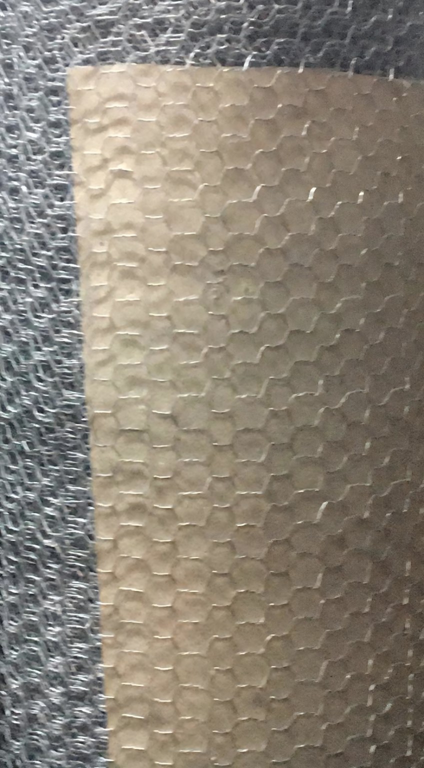 Chicken Mesh