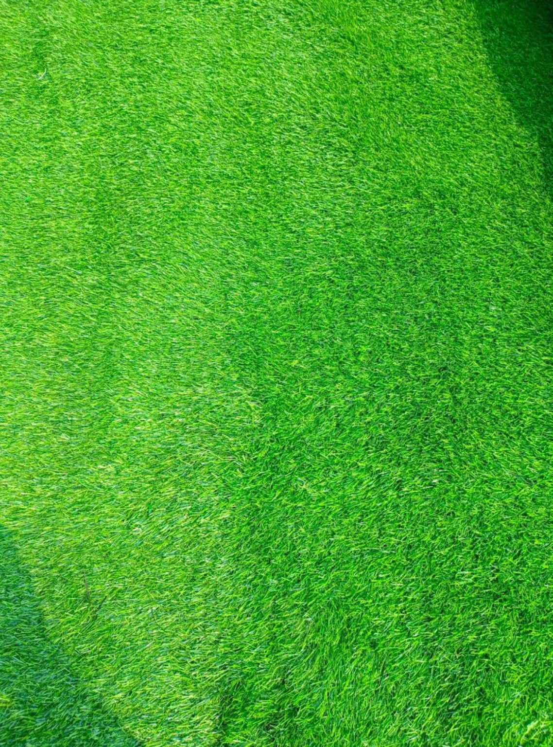 Artificial Grass